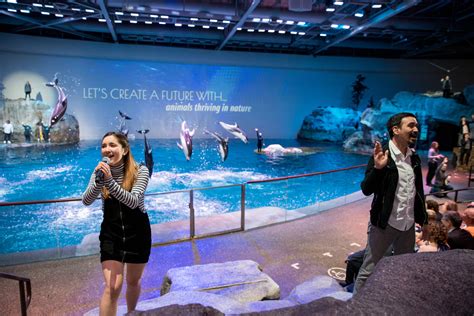 shedd aquarium reviews|shedd aquarium busy times.